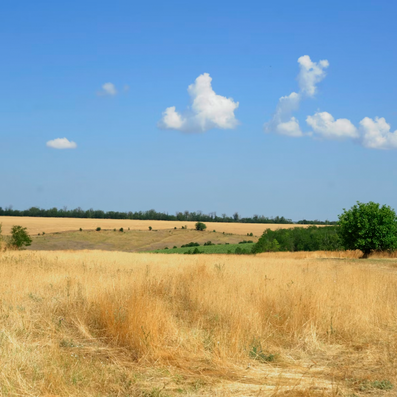 What is an Easement in Real Estate?